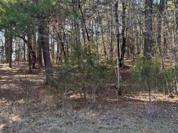 (undisclosed Address), Hot Springs, AR 71913