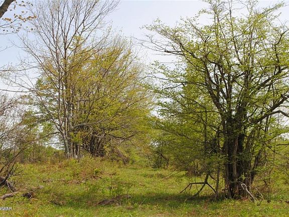 5th image of Belmont Tpke