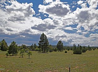 1876 Rocky Ln, Show Low, AZ 85901