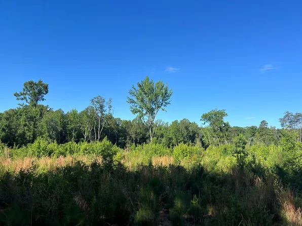 Cole Ln, Scottsburg, VA 24589