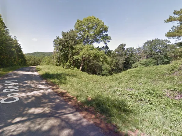 0 County Road 515 #1, Hanceville, AL 35077