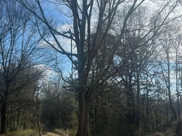98 Pine Shadows Dr, Dallas, GA 30157
