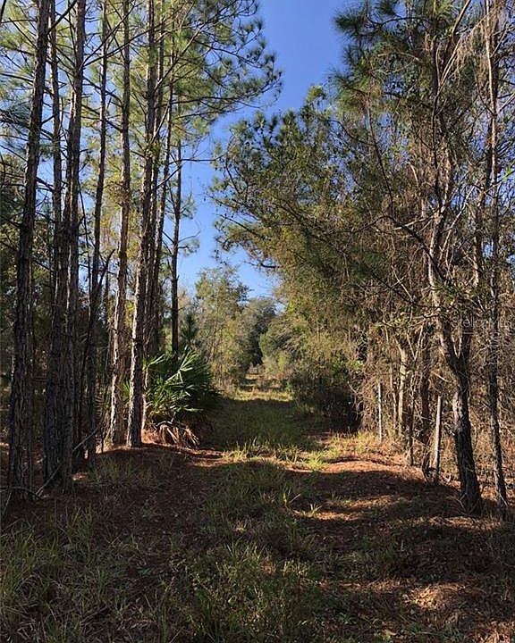 1st image of 7650 E Irlo Bronson Mem Hwy