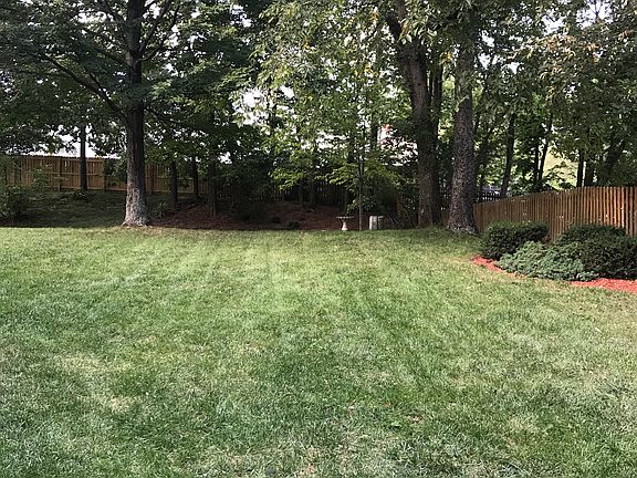 back yard