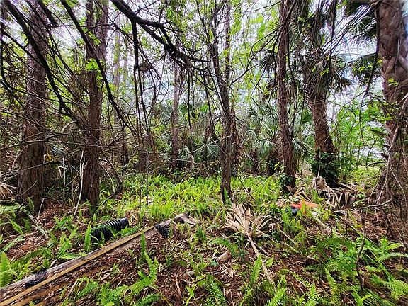 4th image of 1720 LANTANA COURT NW LOT 15