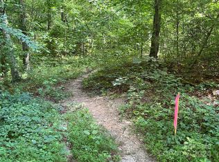 0 Goldenwood Ln, Mills River, NC 28759