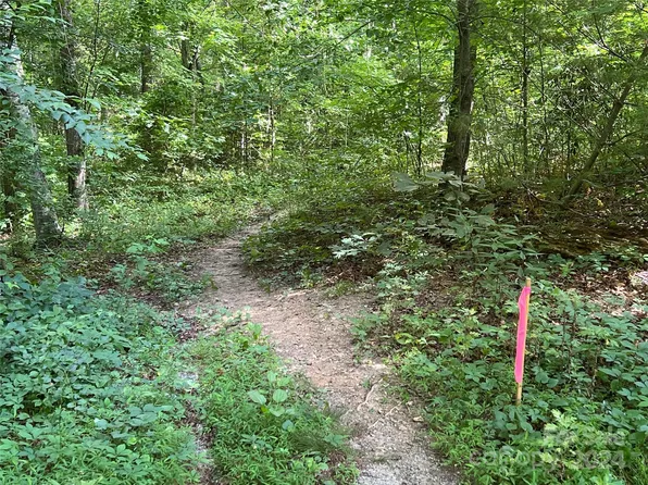 0 Goldenwood Ln, Mills River, NC 28759