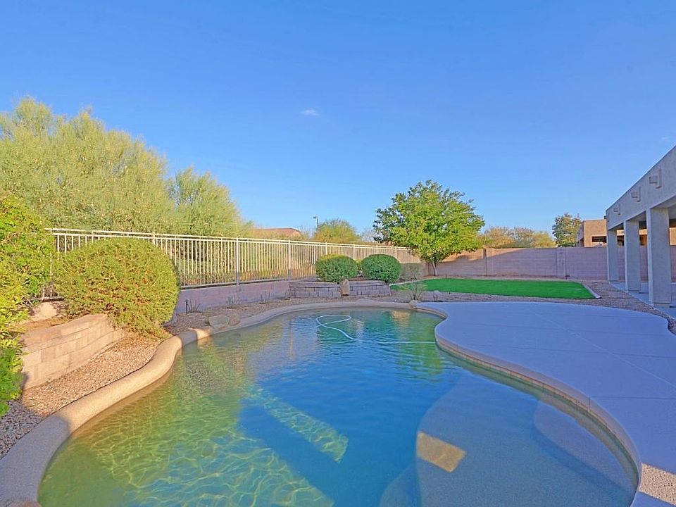 Backyard 6