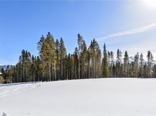 60 Barton Rd, Breckenridge, CO 80424