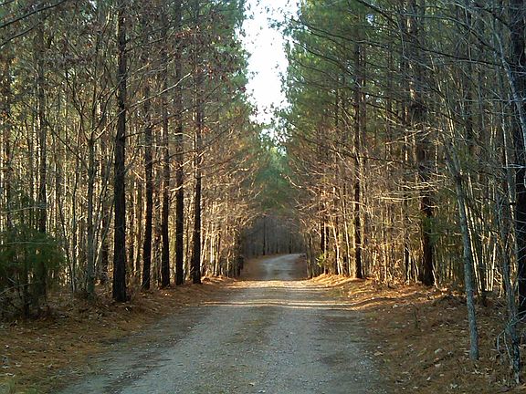 Wonderful driveway welcomes you home!