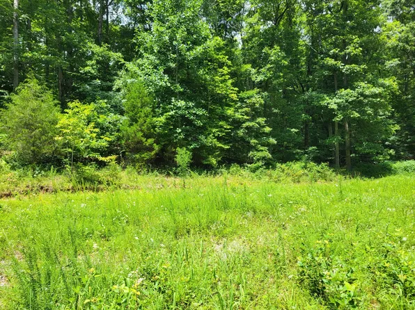 1 Mount Carmel Rd, Mosheim, TN 37818