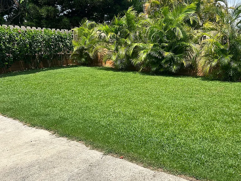 374 Oomano Pl #A — Photo 23
