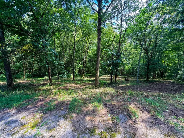 0 Savannah Dr Lot 81, Smithville, TN 37166