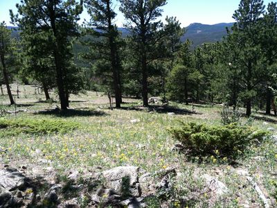 156 Atakapa Ct, Red Feather Lakes, CO, 80545