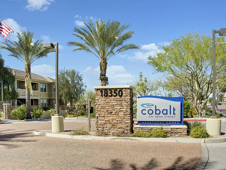 Cobalt on 32nd Street — Photo 16