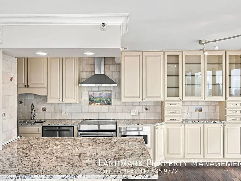 10 E Ontario St #4908 — Photo 5
