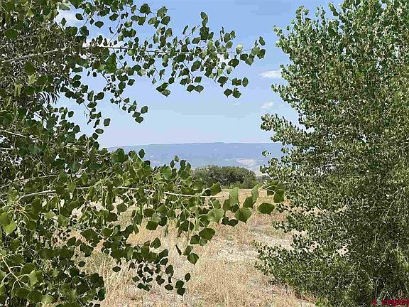 3rd image of 6120 Stirrup Creek Road
