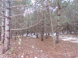 Lumley Rd, Bear Lake, MI 49614