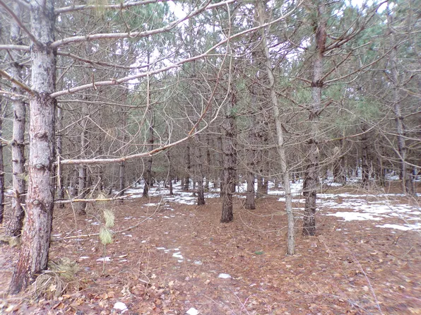 Lumley Rd, Bear Lake, MI 49614