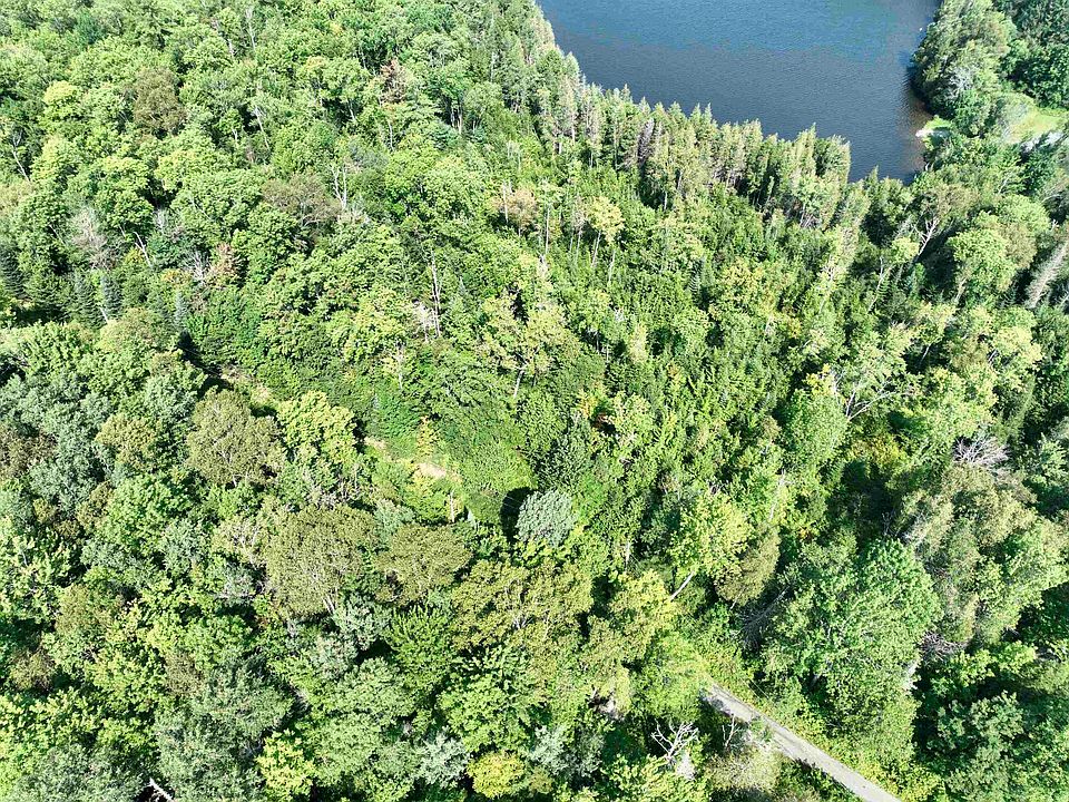 101 Martins Pond Lane Lot 1 and Lot 2, Peacham, VT 05862 MLS 4967061