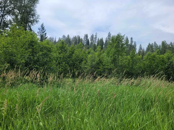 Baker Lake Rd, Newport, WA 99156