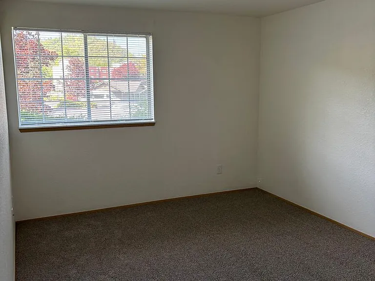 2511 Edenbower Blvd — Photo 33