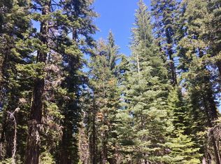 1279 Ararat Dr, Bucks Lake, CA 95971