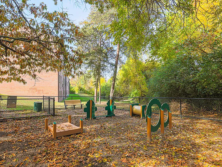 Dog Park