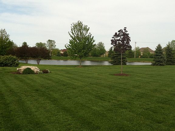 View Facing Northeast #2