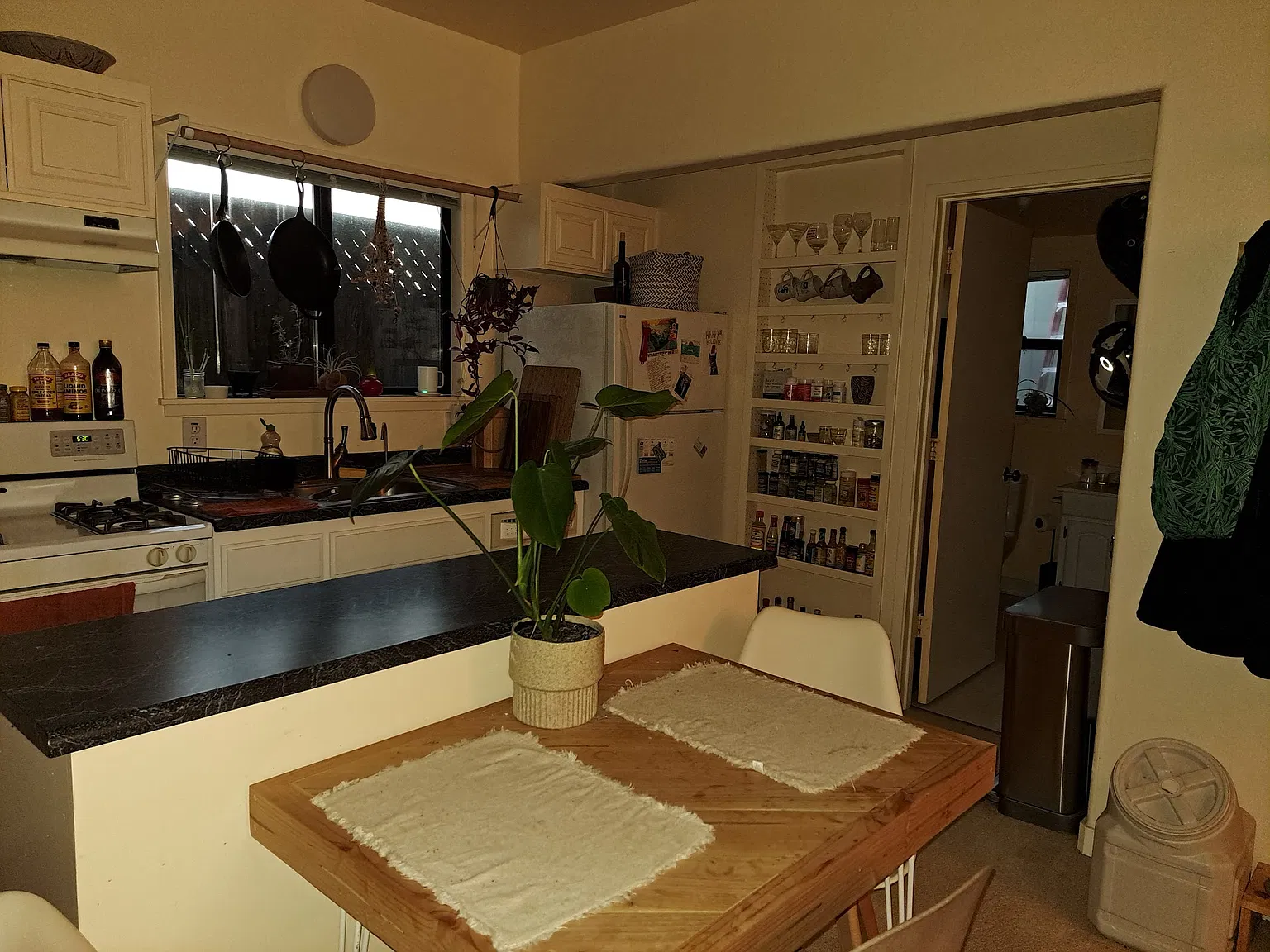 1 bed, 750 sqft, $3,500 — Photo 3