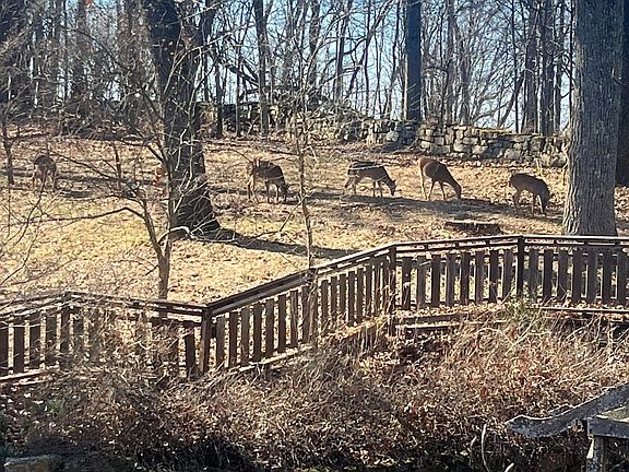 5th image of 511 Jocelyn Hollow Ct