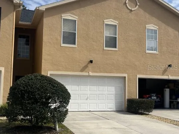 16305 Fairford Palms Ct, Tampa, FL 33647