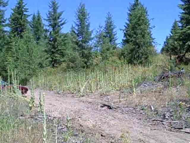 2nd image of 0 Lane Mountain Way