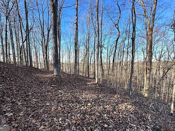 2nd image of 8555 Woodland Brooke Trl
