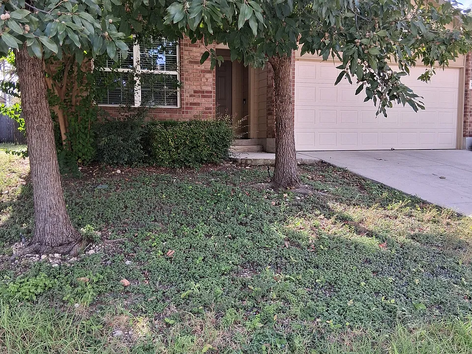 8817 Palmetto Fls