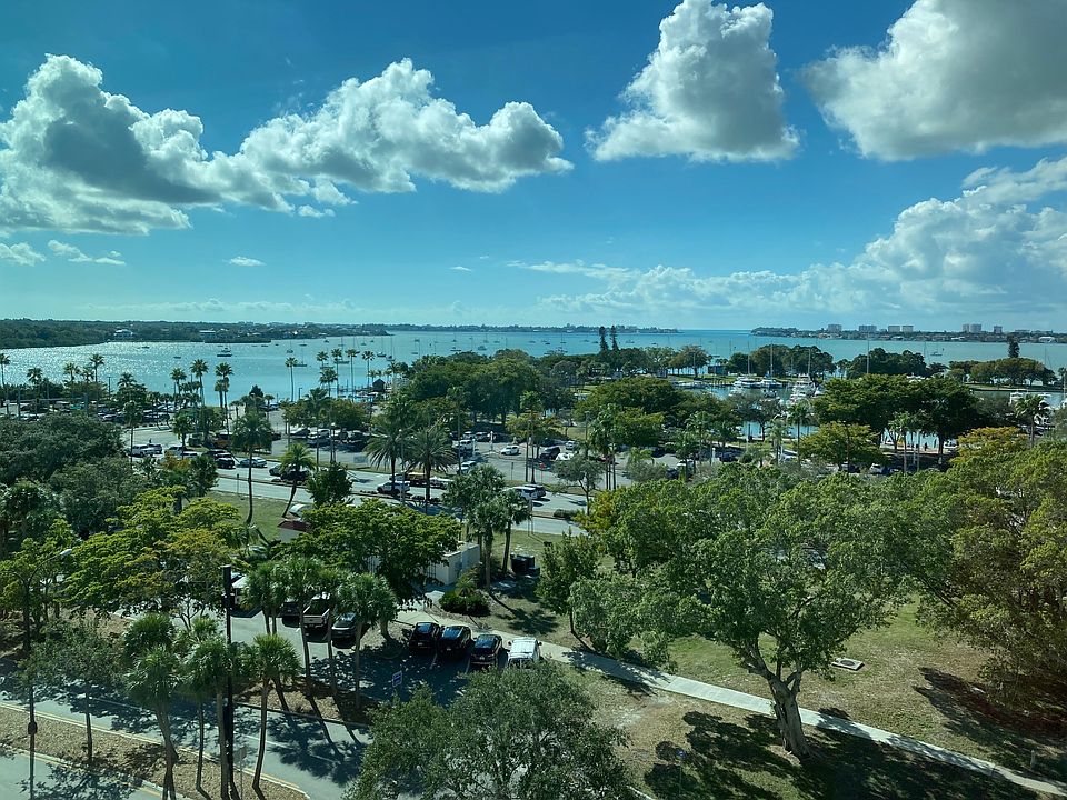 Living Room Window View