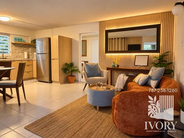 3 Olivo, Caguas, PR 00725