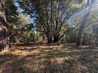 17686 S Mace Dr, Pioneer, CA 95666