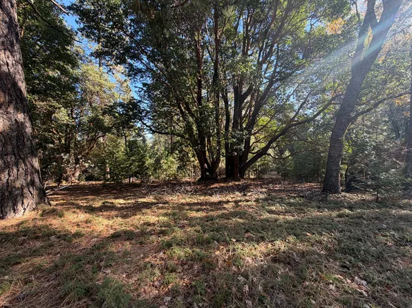 17686 S Mace Dr, Pioneer, CA 95666