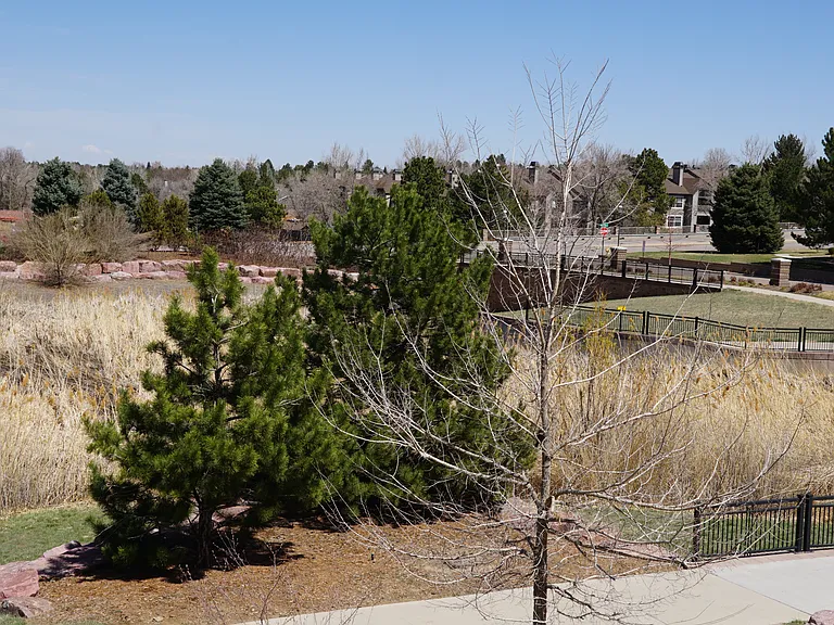 9036 E Caley Way — Photo 14