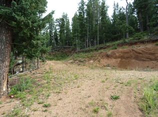 33872 Nova Rd, Pine, CO 80470