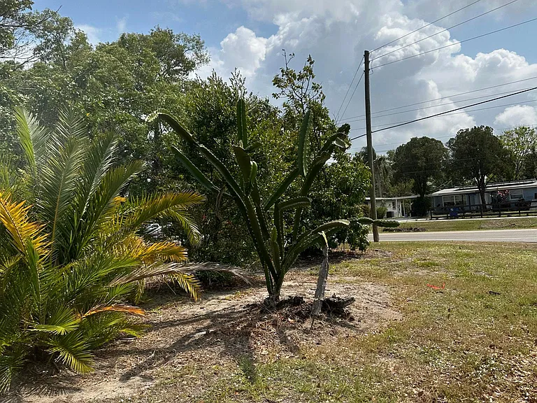 1546 Belleair Rd — Photo 15