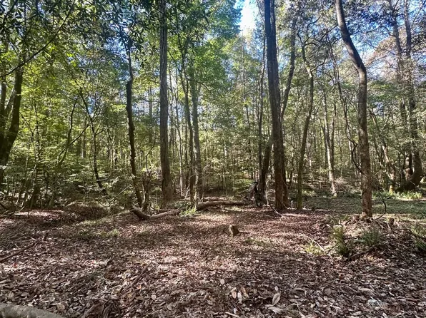2495 Taylor Cross Rd, Lapine, AL 36046