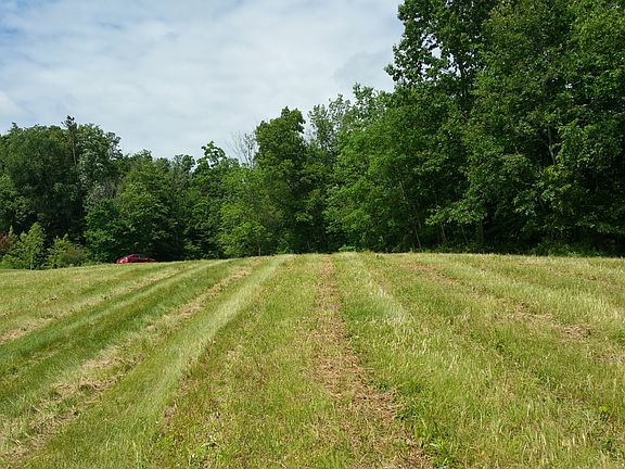 Daylight basement options