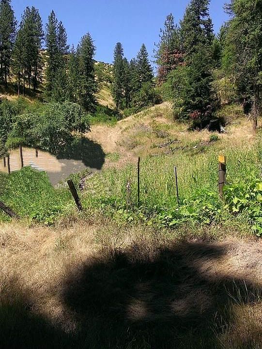 2nd image of 13 Five Acres Lightning Creek Rd