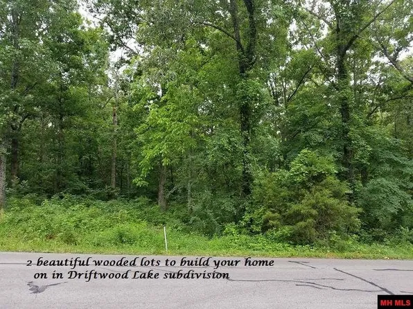 002-04045-002 Driftwood Dr, Mountain Home, AR 72653