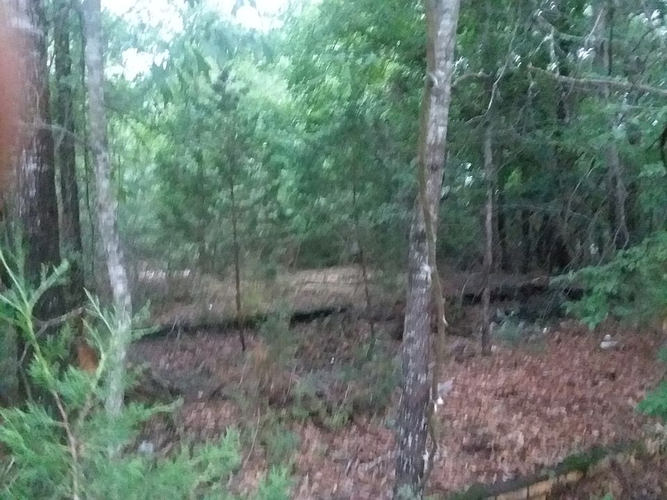 2nd image of 331 Brown Mill Rd
