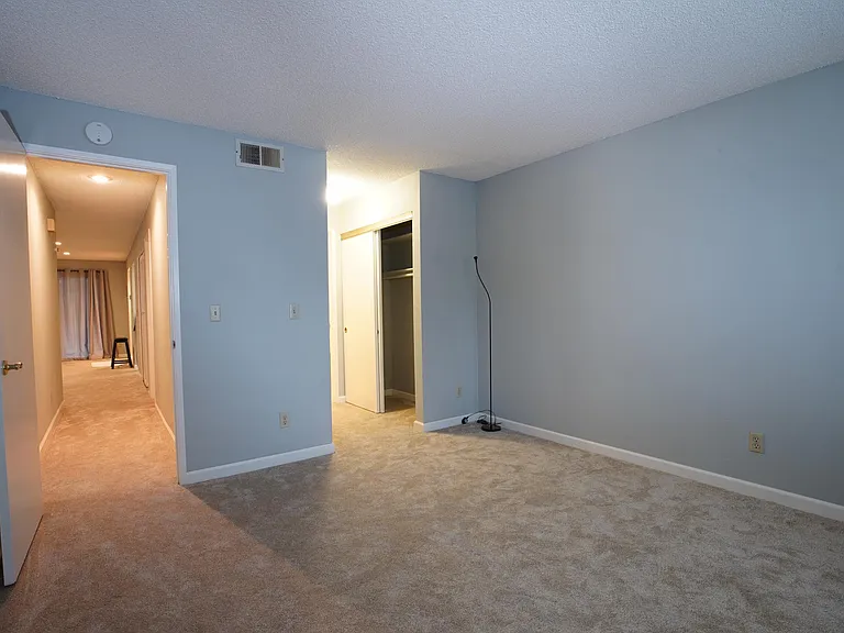 Guest Bedroom and hall and closet