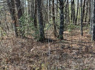 0 Roy Rd, Ellijay, GA 30536