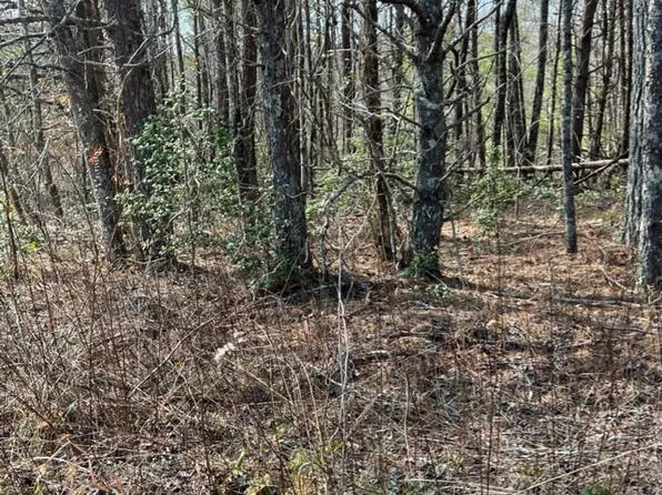 0 Roy Rd, Ellijay, GA 30536